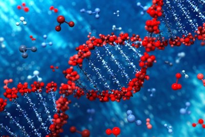 Універсальну енергетичну валюту кожної форми життя на Землі знайдено