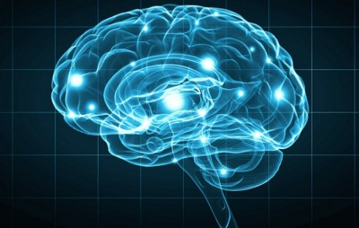 Пересадку людського мозку